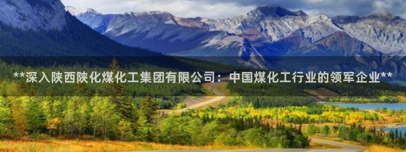 球盟会有没有黑单的球员：**深入陕西陕化煤化工集团有限公司：
