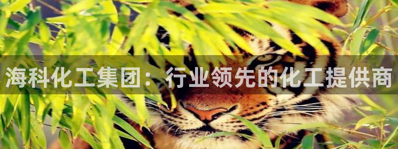 球盟会登录网址：海科化工集团：行业领先的化工提供商