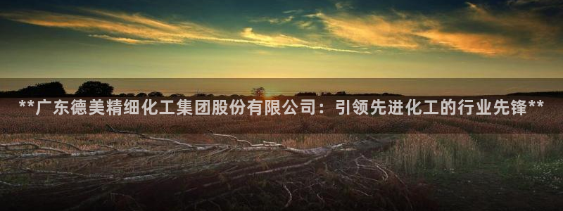 球盟会入口：**广东德美精细化工集团股份有限公司：引领先进化