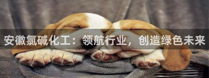球盟会qm9