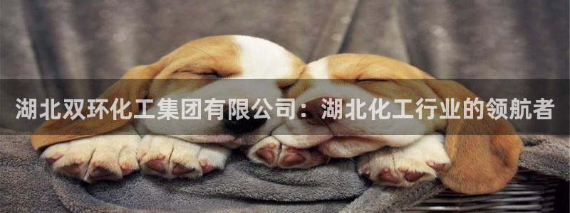 球盟会官方网入口