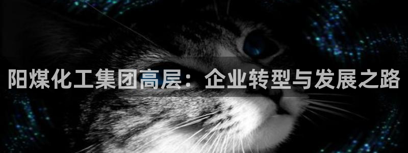 球盟会官方下载