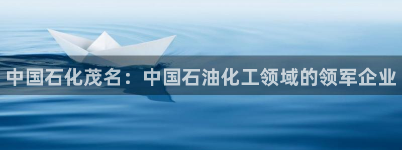 球盟会体育app官方网站