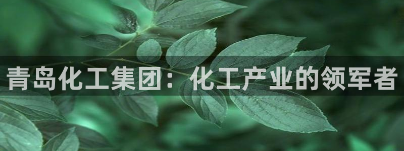 千亿球盟会乐玩