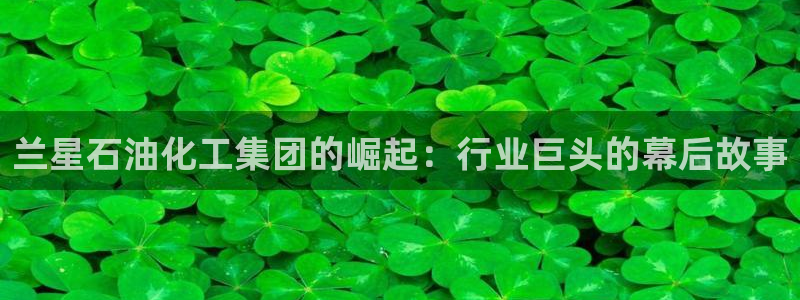 球盟会网页版登陆