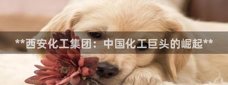 球盟会连接