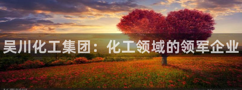 球盟会app最新地址在哪看