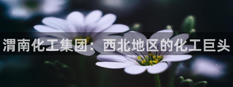 球盟会黑款吗还是白款