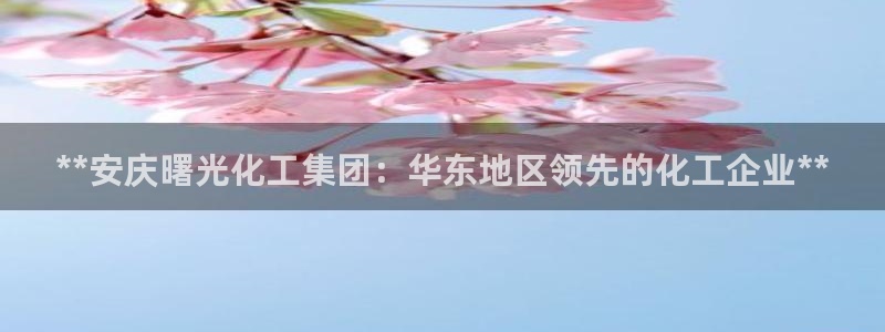 球盟会优惠领取网站：**安庆曙光化工集团：华东地区领先的化工