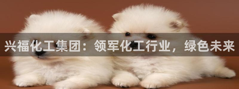 球盟会可以提现么是真的吗