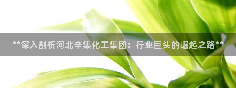 球盟会综合体育平台怎么样