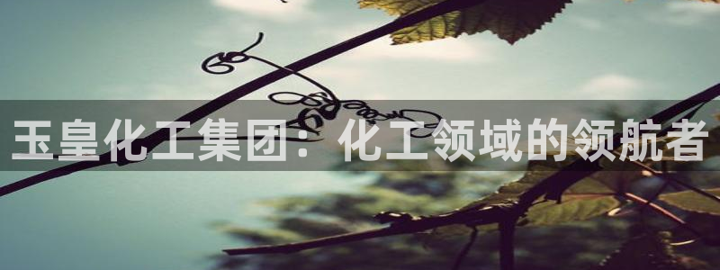 球盟会综合app下载