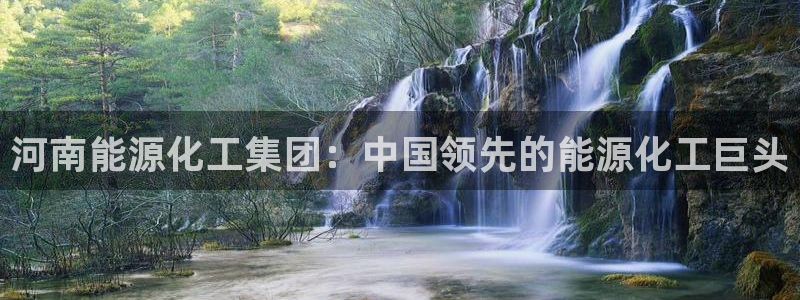 球盟会电子