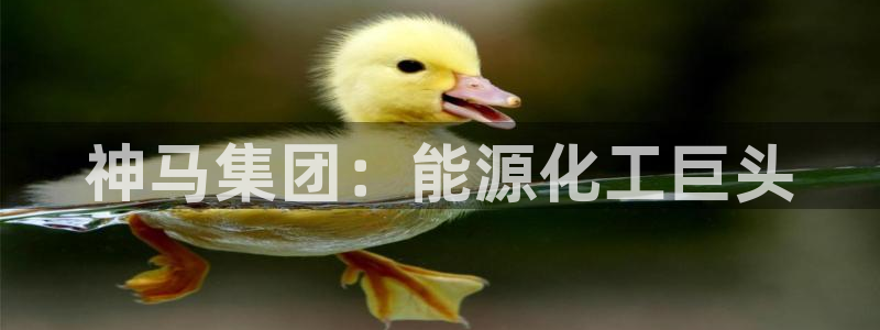 球盟会(中国)官方网站