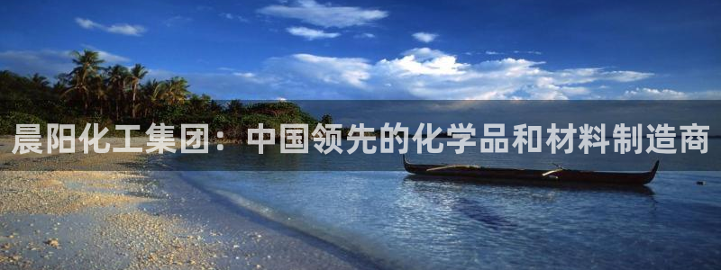球盟会APP下载：晨阳化工集团：中国领先的化学品和材料制造商
