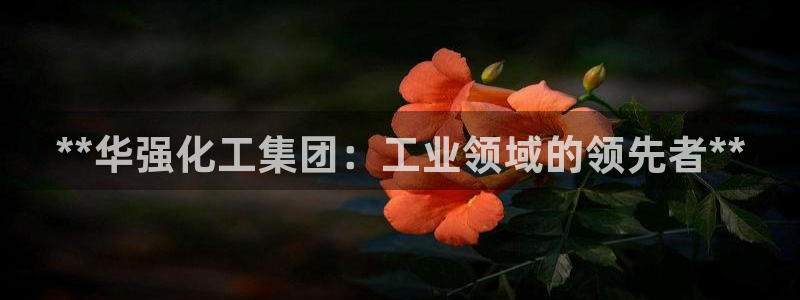 球盟会官方登录平台：**华强化工集团：工业领域的领先者**