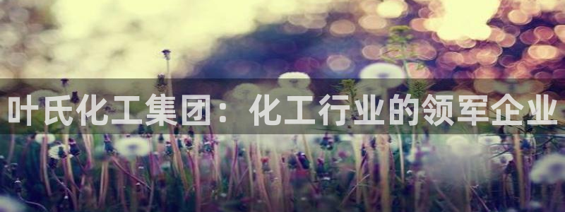 球盟会类似的网站：叶氏化工集团：化工行业的领军企业