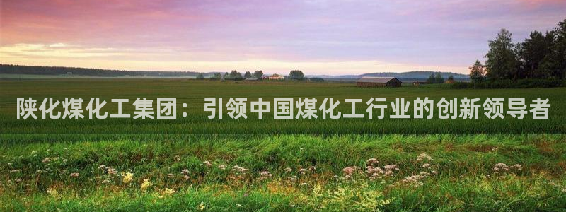 球盟会app手机登录：陕化煤化工集团：引领中国煤化工行业的创
