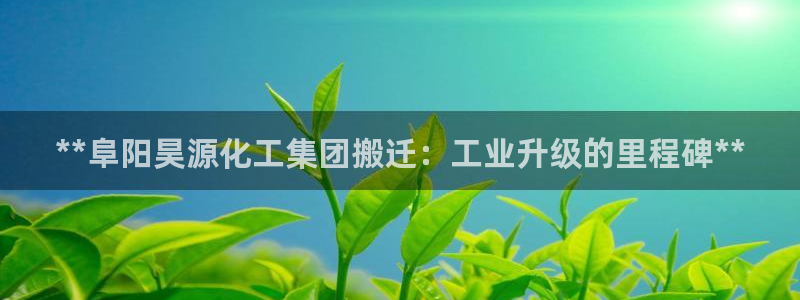 球盟会登录平台：**阜阳昊源化工集团搬迁：工业升级的里程碑*