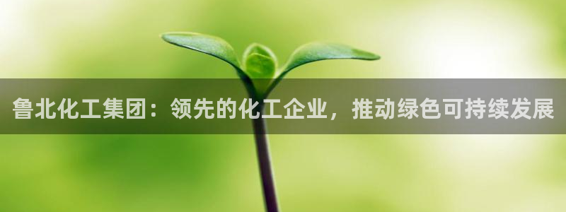 球盟会qm：鲁北化工集团：领先的化工企业，推动绿色可持续发展
