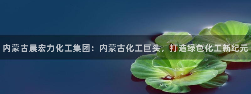 球盟会手机网页版