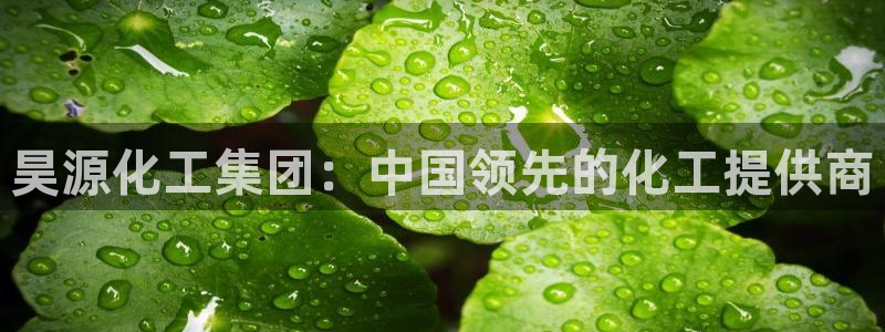 球盟会qmh网页版登录 - qm球盟会官方网站：昊源化工集团