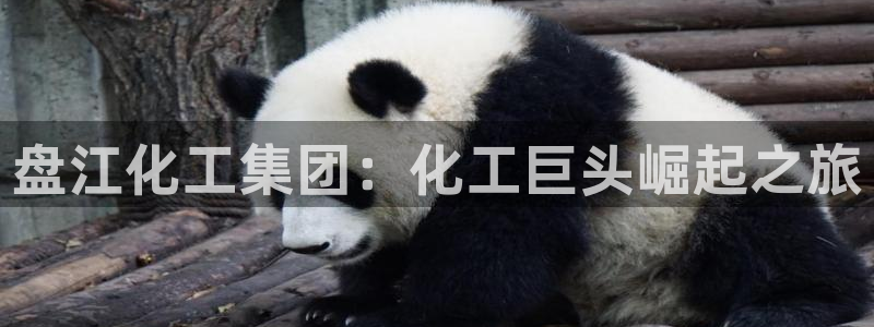 球盟会qmh官网