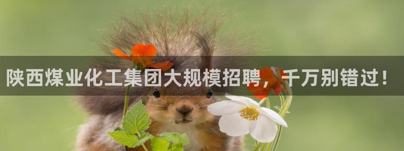 球盟会qmh网页版登录 - qm球盟会官方网站：陕西煤业化工