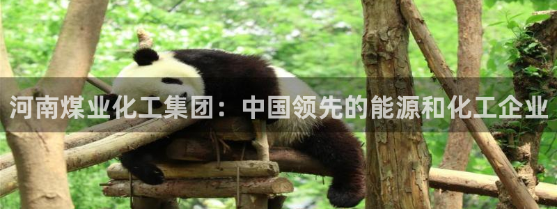 球盟会登录入口：河南煤业化工集团：中国领先的能源和化工企业