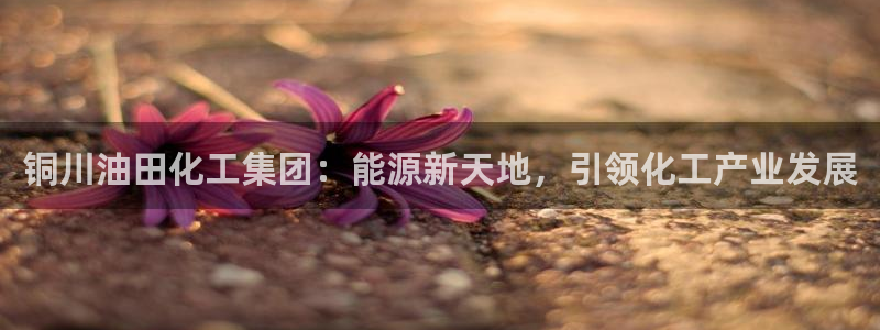 球盟会中国官方网站