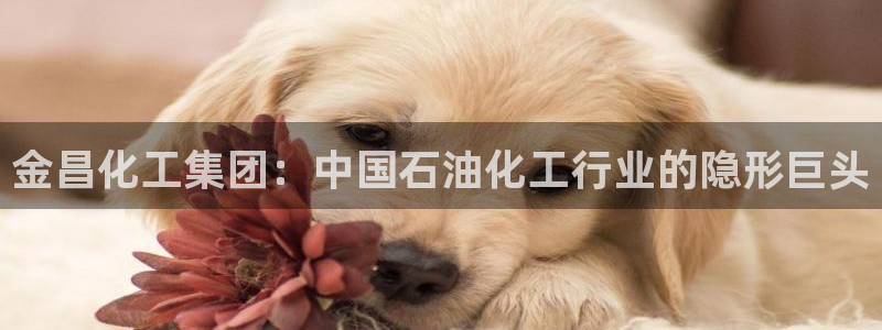 球盟会优惠券