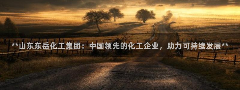球盟会(中国)官方网站：**山东东岳化工集团：中国领先的化工
