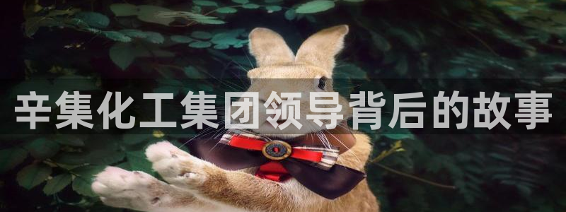 球盟会能退钱吗现在