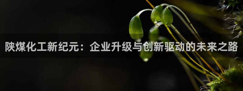 球盟会官方入口