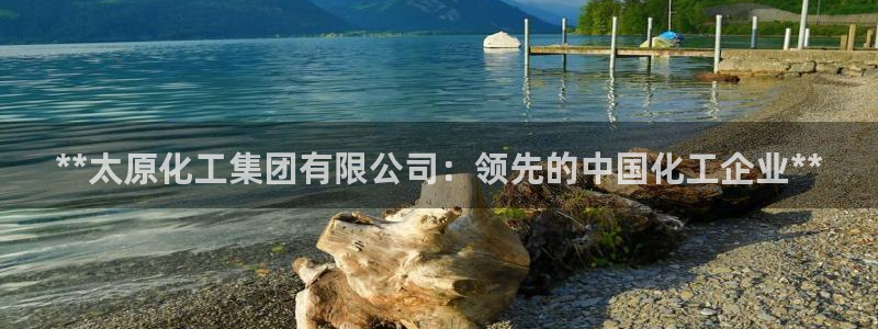 球盟会官方网站入口：**太原化工集团有限公司：领先的中国化工