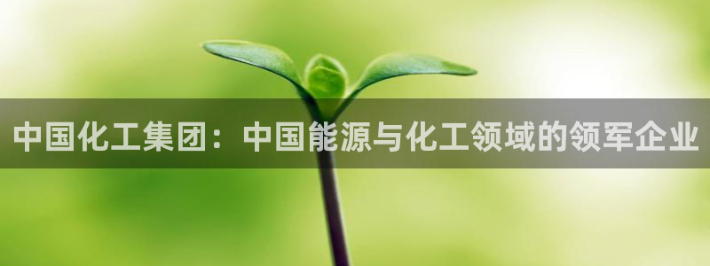 球盟会最新：中国化工集团：中国能源与化工领域的领军企业