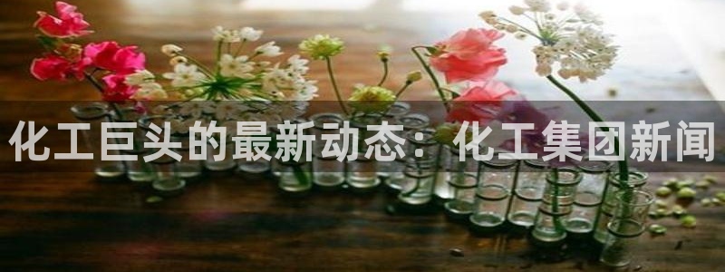 球盟会网页版
