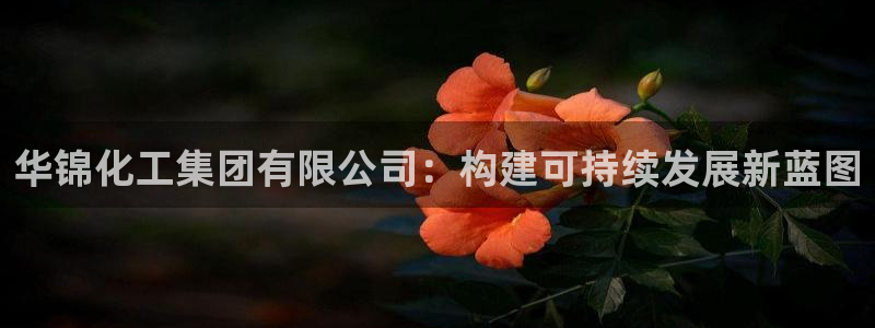 球盟会APP下载：华锦化工集团有限公司：构建可持续发展新蓝图
