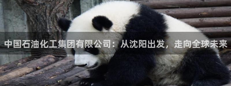 球盟会和中欧：中国石油化工集团有限公司：从沈阳出发，走向全球