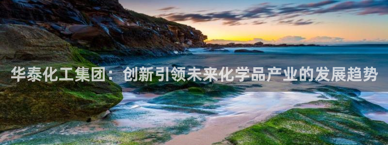 球盟会综合体育平台怎么样：华泰化工集团：创新引领未来化学品产