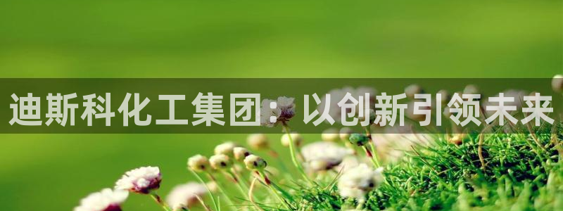 球盟会在线登录：迪斯科化工集团：以创新引领未来