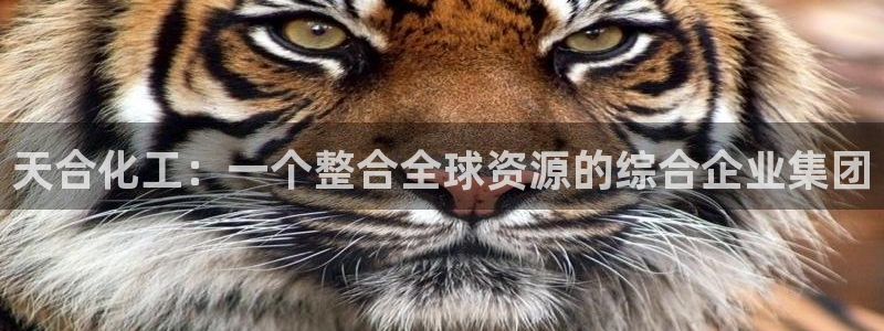 球盟会出款黑了：天合化工：一个整合全球资源的综合企业集团