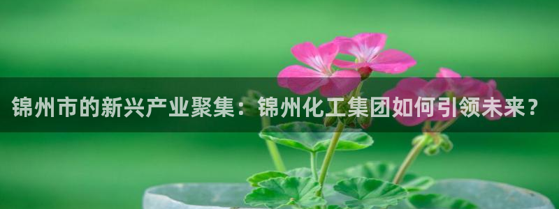 球盟会官网：锦州市的新兴产业聚集：锦州化工集团如何引领未来？