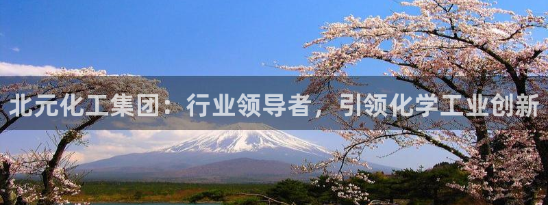 球盟会优惠领取网站是真的吗：北元化工集团：行业领导者，引领化