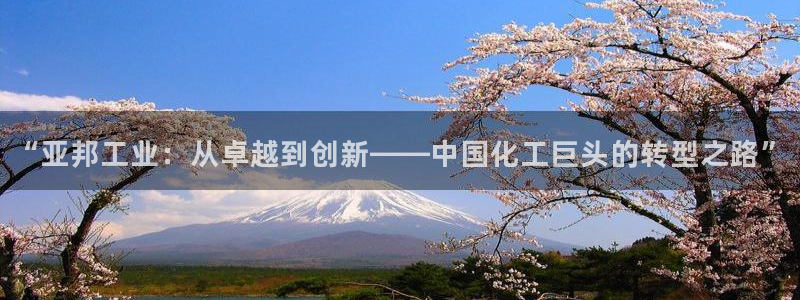 球盟会有没有黑单的人：“亚邦工业：从卓越到创新——中国化工巨