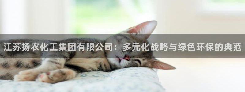 球盟会官网：江苏扬农化工集团有限公司：多元化战略与绿色环保的