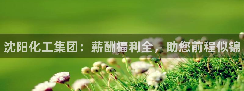 球盟会网页登录app下载地址：沈阳化工集团：薪酬福利全，助您