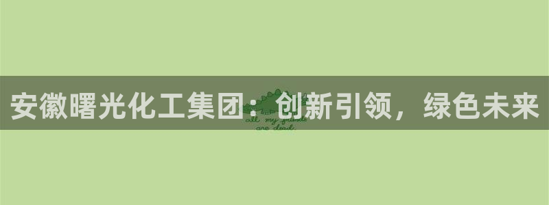 球盟会有限公司怎么样：安徽曙光化工集团：创新引领，绿色未来