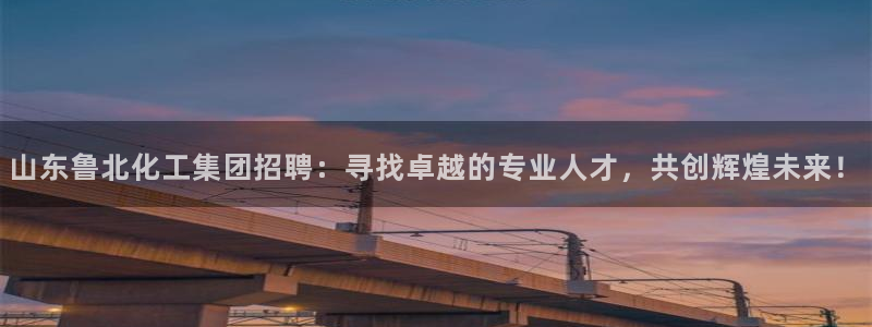 球盟会平台会黑单吗：山东鲁北化工集团招聘：寻找卓越的专业人才