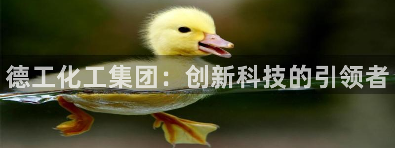 球盟会(中国)官方网站：德工化工集团：创新科技的引领者